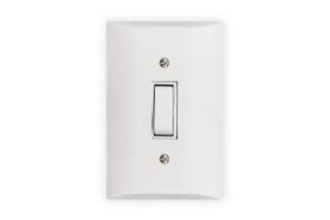 FLP 01 INTERRUPTOR 10A C/PLACA