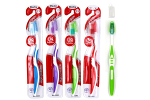 SQ3362 ESCOVA ADULTO DUZIA